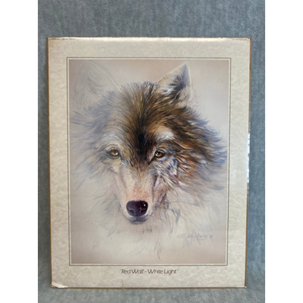 Red Wolf White Light Art Print by Kathryn Weisberg 91 Matted Look Poster '91